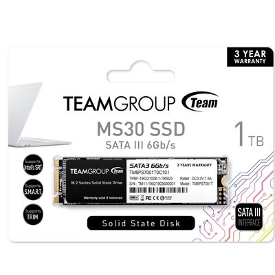 hdtea-ms30m2-1tb-lg.jpg Team MS30 (TM8PS7001T0C101) 1TB, M.2 Sata Interface, PCIe Gen3, Read 530MB/s, Write 480MB/s, 3 Year Warranty - Image 1