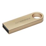 Kingston DataTraveler SE9 G3 64GB USB 3.2 USB Flash Drive, Gold - Image 5